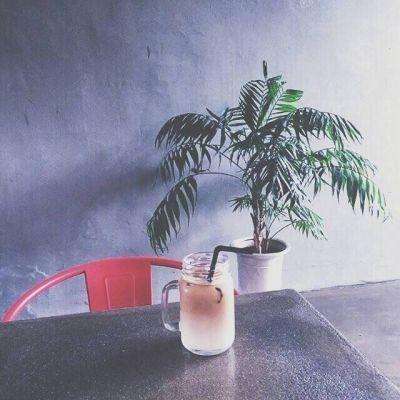 kaiyun·体育app下载