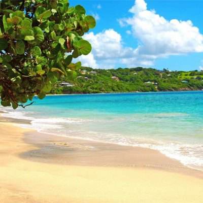 B体育官方网站下载