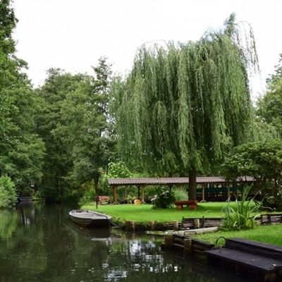 大众彩票app最新版下载