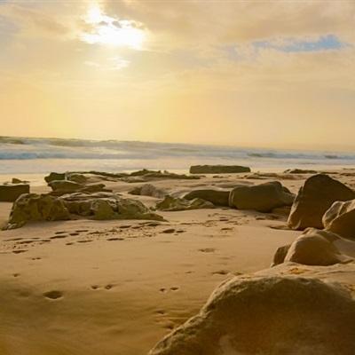 196体育(官方)APP下载安装