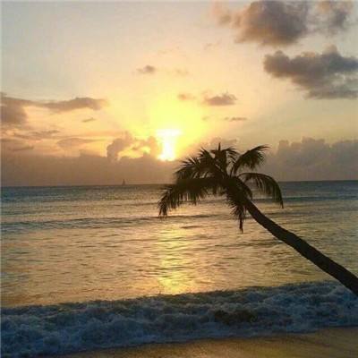 网赌软件在线下载