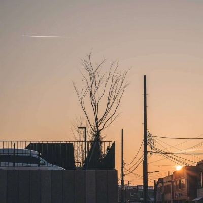 万博max体育注册