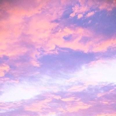 星空体育平台官网手机app下载