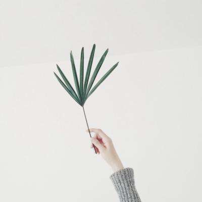 快3平台官网网站