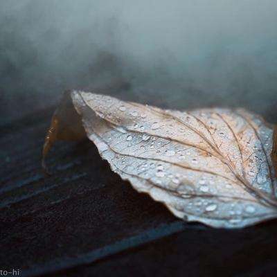 香港资料大全手机app下载