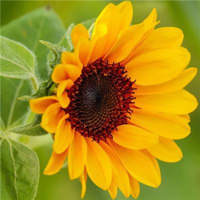 博鱼·体育app(中国)官网入口-手机版app下载